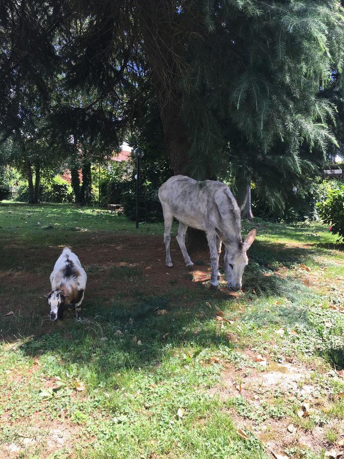 Il Trattore *